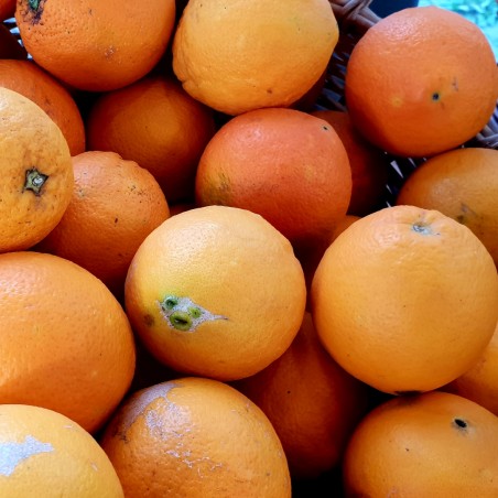 ORANGE  (1 kg)