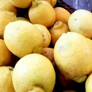 CITRON (0,25 kg)