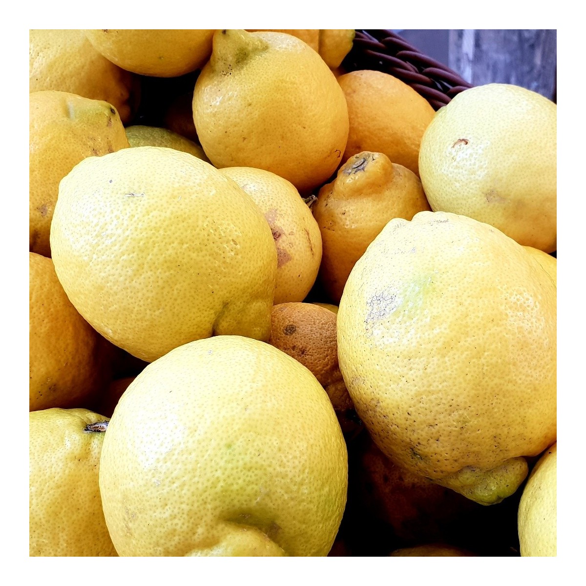 CITRON (0,25 kg)