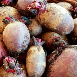 BETTERAVE ROUGE (1 kg)