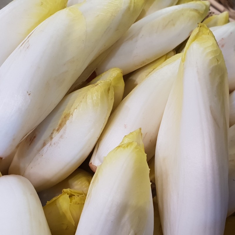 ENDIVE (0,3 kg)