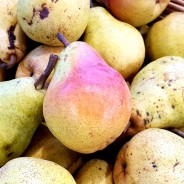 POIRE "Guyot" (0,5 kg)