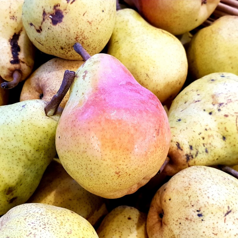 POIRE "Guyot" (0,5 kg)