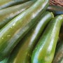 COURGETTE VERTE (1 kg)