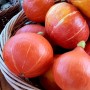 POTIMARRON (1 kg)