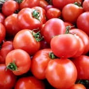 TOMATE RONDE (1 kg)
