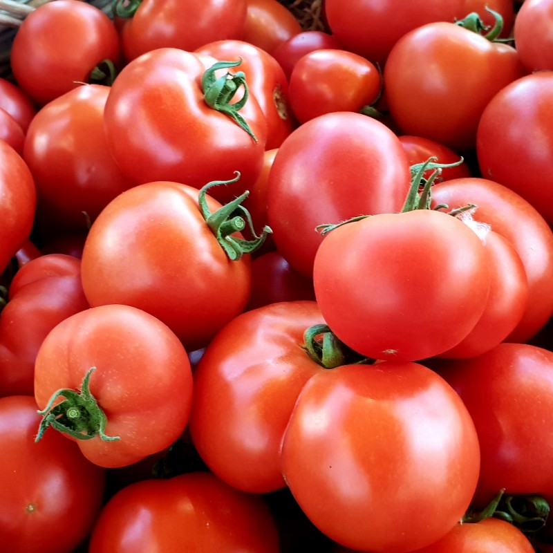 TOMATE RONDE (1 kg)