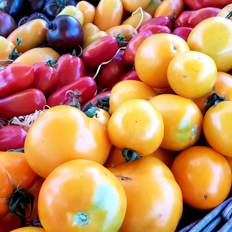 TOMATES ANCIENNES (1 kg)