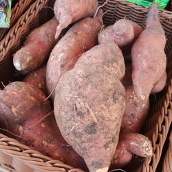 Patate douce (1 kg)
