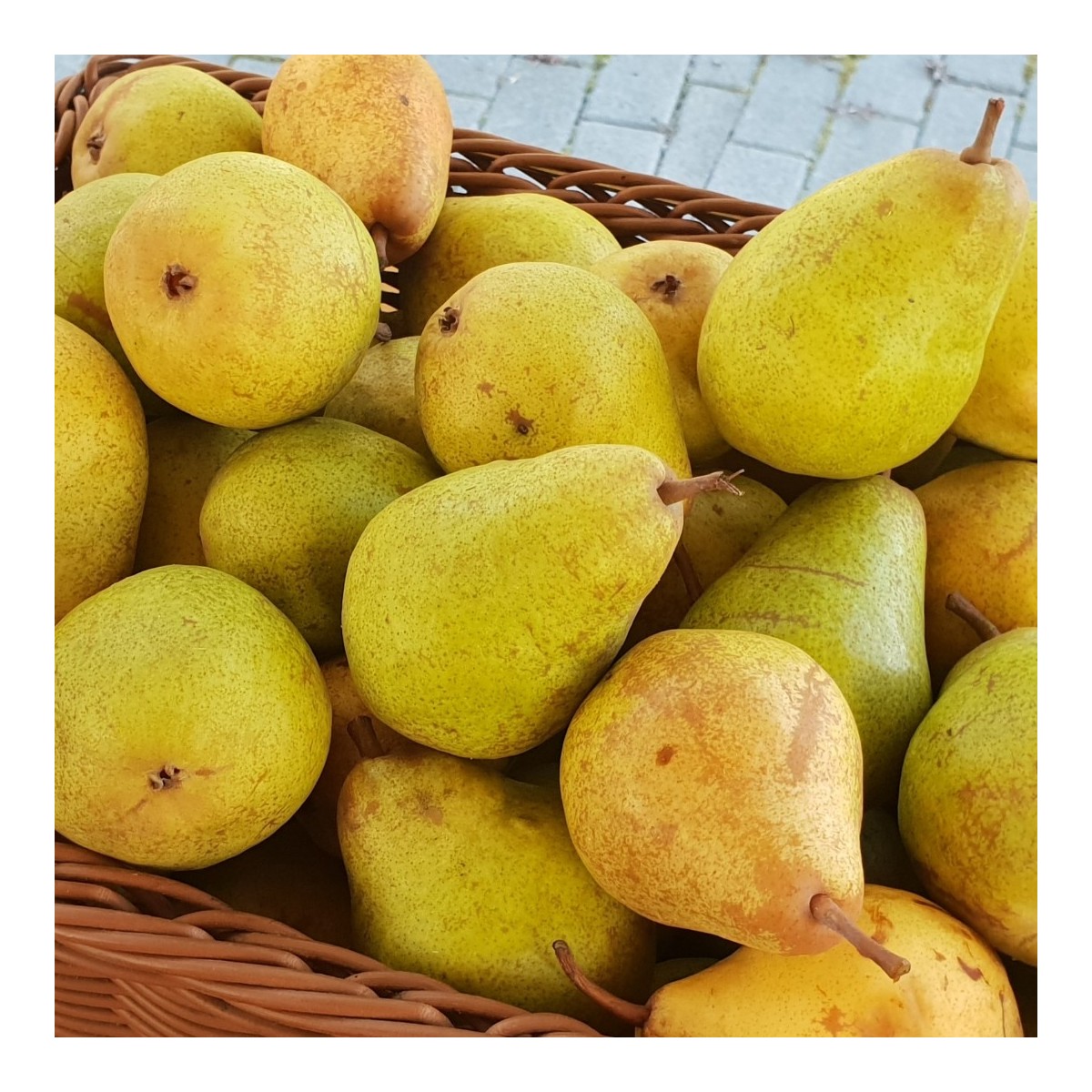 POIRE "Conférence" (1kg)