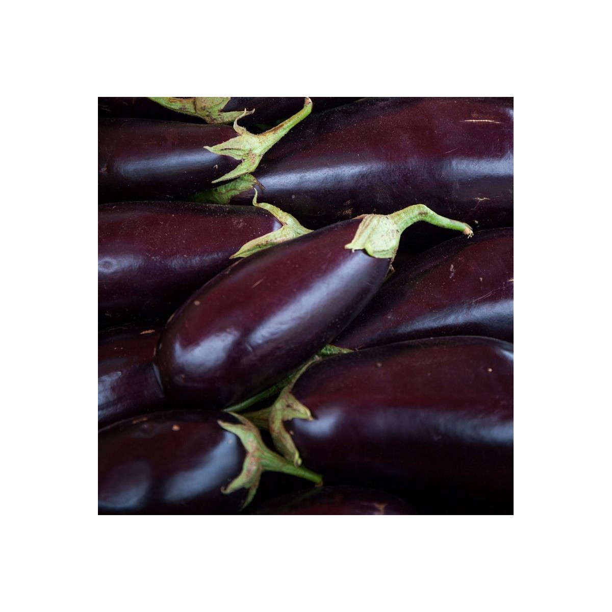 Aubergine (1kg)