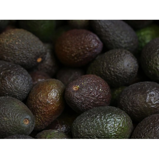 Avocat (500g)