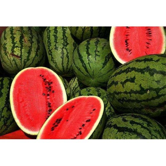 Pastèque