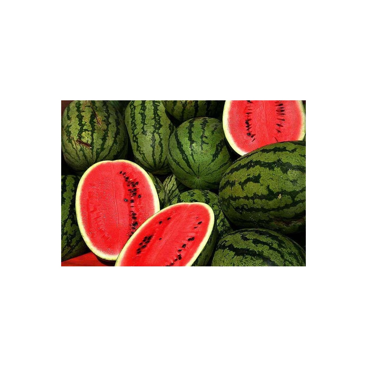 Pastèque