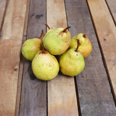 POIRE "William verte" (0,5 kg)