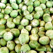 CHOU de BRUXELLES (0,5 kg)