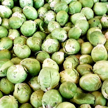 CHOU de BRUXELLES (0,5 kg)