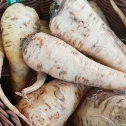 PANAIS (1 kg)